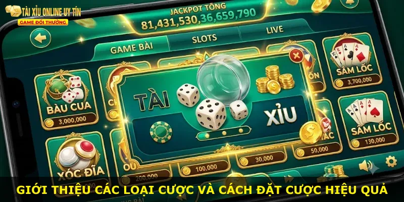 Giới thiệu các loại cược và cách đặt cược hiệu quả