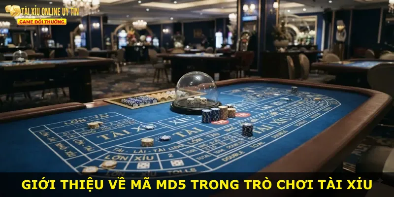 Giới thiệu về mã MD5 trong trò chơi tài xỉu
