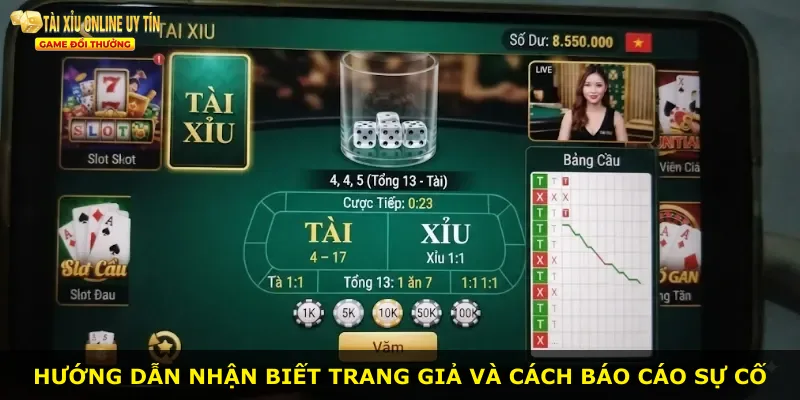 Hướng dẫn nhận biết trang giả và cách báo cáo sự cố