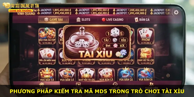 Phương pháp kiểm tra mã MD5 trong trò chơi tài xỉu
