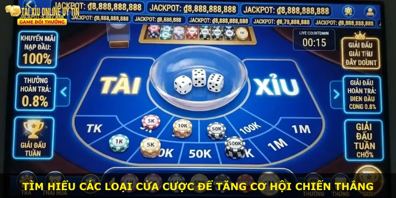 Tìm hiểu các loại cửa cược để tăng cơ hội chiến thắng