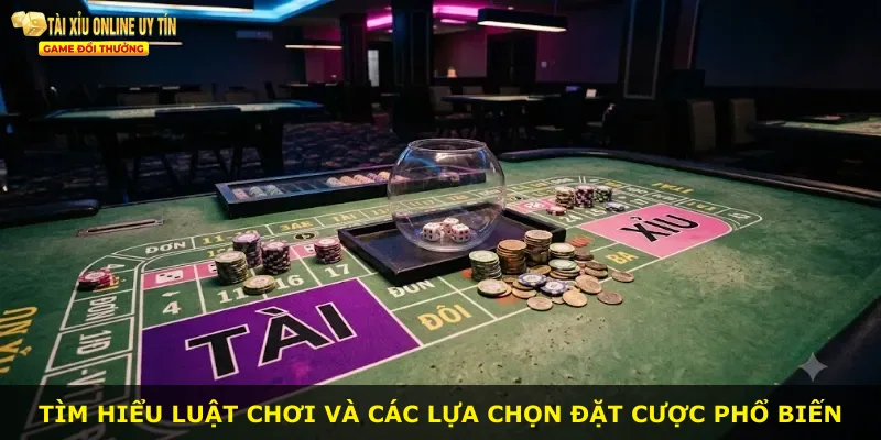 Tìm hiểu luật chơi và các lựa chọn đặt cược phổ biến